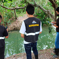 Coordenadoria de Proteção de Recursos Naturais e Educação Ambiental imagem 01