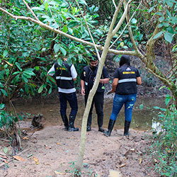 Coordenadoria de Proteção de Recursos Naturais e Educação Ambiental imagem 02