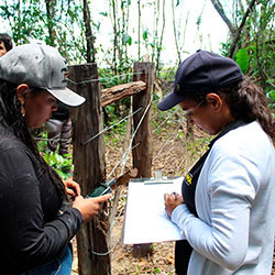 Coordenadoria de Proteção de Recursos Naturais e Educação Ambiental imagem 08