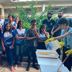 Coordenadoria de Proteção de Recursos Naturais e Educação Ambiental imagem 10
