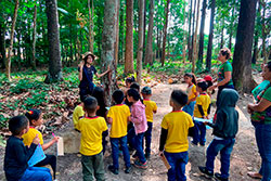 CEI Santa Rita de Cássia Visitando o Parque Natural imagem 10