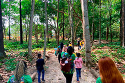 CEI Santa Rita de Cássia Visitando o Parque Natural imagem 14