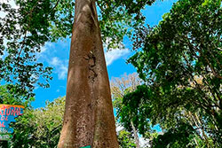 CEI Santa Rita de Cássia Visitando o Parque Natural imagem 23
