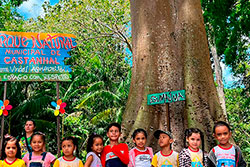 CEI Santa Rita de Cássia Visitando o Parque Natural imagem 25