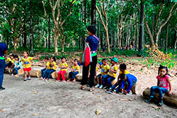CEI Santa Rita de Cássia Visitando o Parque Natural imagem 46
