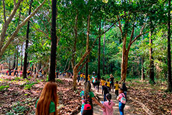 CEI Santa Rita de Cássia Visitando o Parque Natural imagem 9