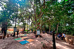 Centro Educacional Sesc de Castanhal Visitando o Parque Natural imagem 12