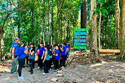 Centro Educacional Sesc de Castanhal Visitando o Parque Natural imagem 3