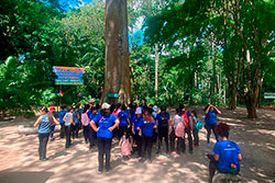Centro Educacional Sesc de Castanhal Visitando o Parque Natural imagem 36