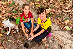 EMEIF Luiz Augusto Paiva de Oliveira imagem 13