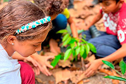 EMEIF Luiz Augusto Paiva de Oliveira imagem 14