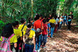 EMEIF Luiz Augusto Paiva de Oliveira imagem 20