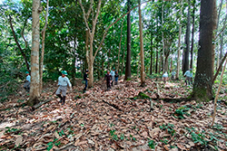 Limpeza do Parque Natural imagem 1