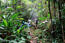 Limpeza do Parque Natural imagem 12