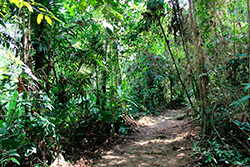 Limpeza do Parque Natural imagem 14