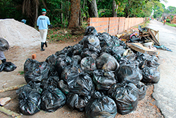 Limpeza do Parque Natural imagem 17