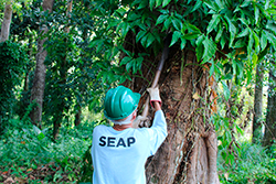 Limpeza do Parque Natural imagem 21