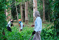 Limpeza do Parque Natural imagem 22