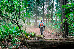 Limpeza do Parque Natural imagem 25