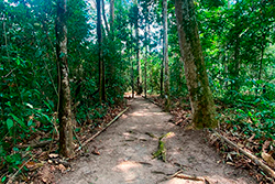 Limpeza do Parque Natural imagem 26