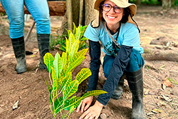 Limpeza do Parque Natural imagem 28