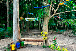 Limpeza do Parque Natural imagem 29