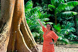 Limpeza do Parque Natural imagem 31