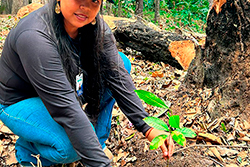 Limpeza do Parque Natural imagem 33