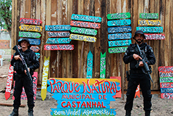 Limpeza do Parque Natural imagem 39