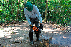 Limpeza do Parque Natural imagem 4