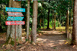 Limpeza do Parque Natural imagem 41