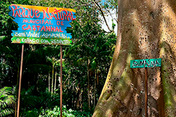 Limpeza do Parque Natural imagem 42