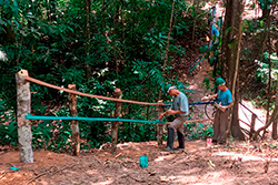 Limpeza do Parque Natural imagem 43