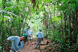 Limpeza do Parque Natural imagem 9